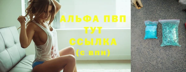 СК Надым