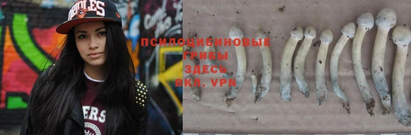 СК Надым