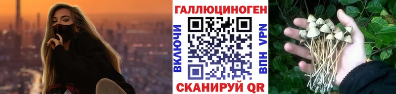 Галлюциногенные грибы Magic Shrooms  Купить где  Волжский 